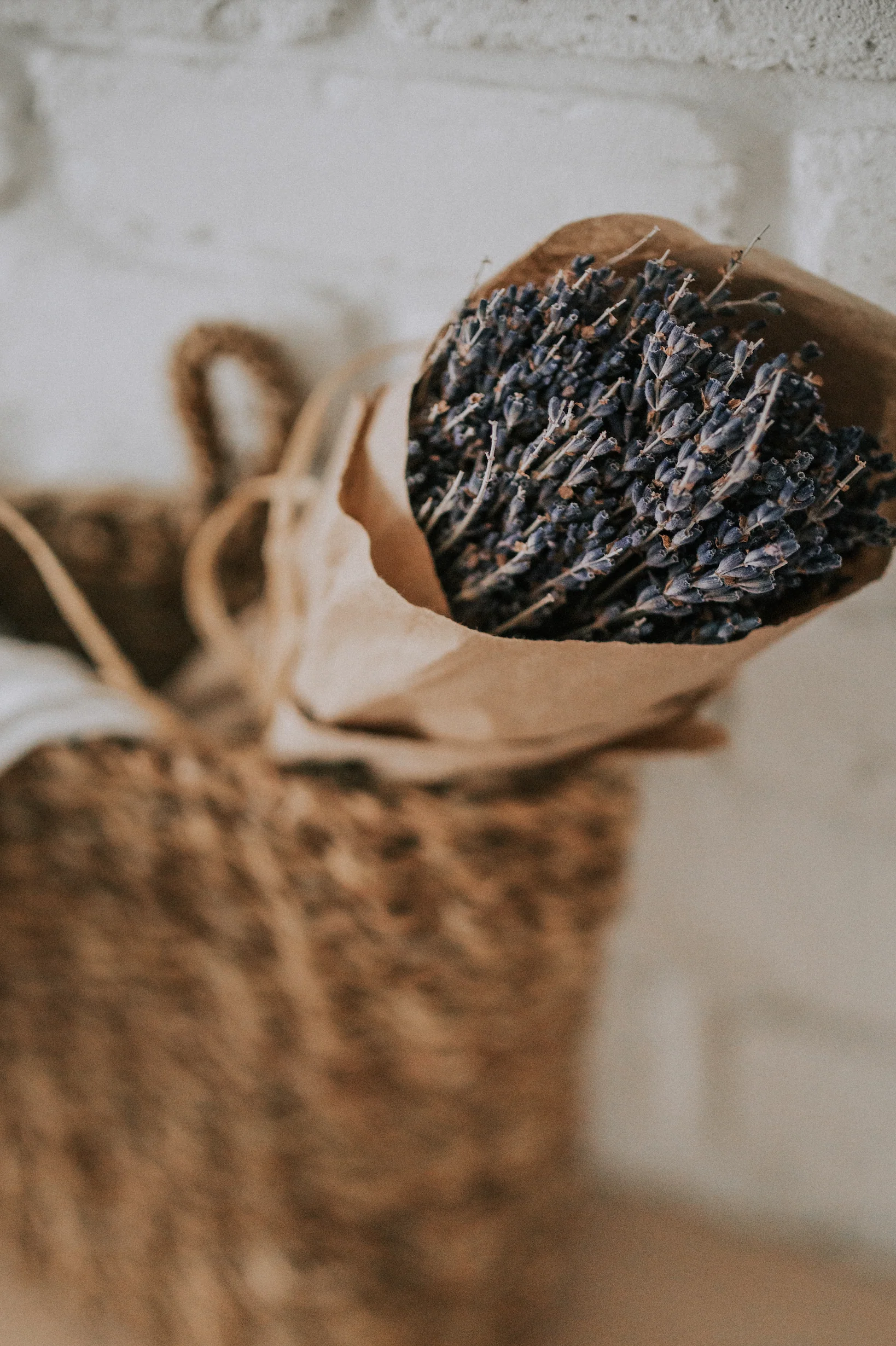 Bouquet de lavande séchée - Image 4