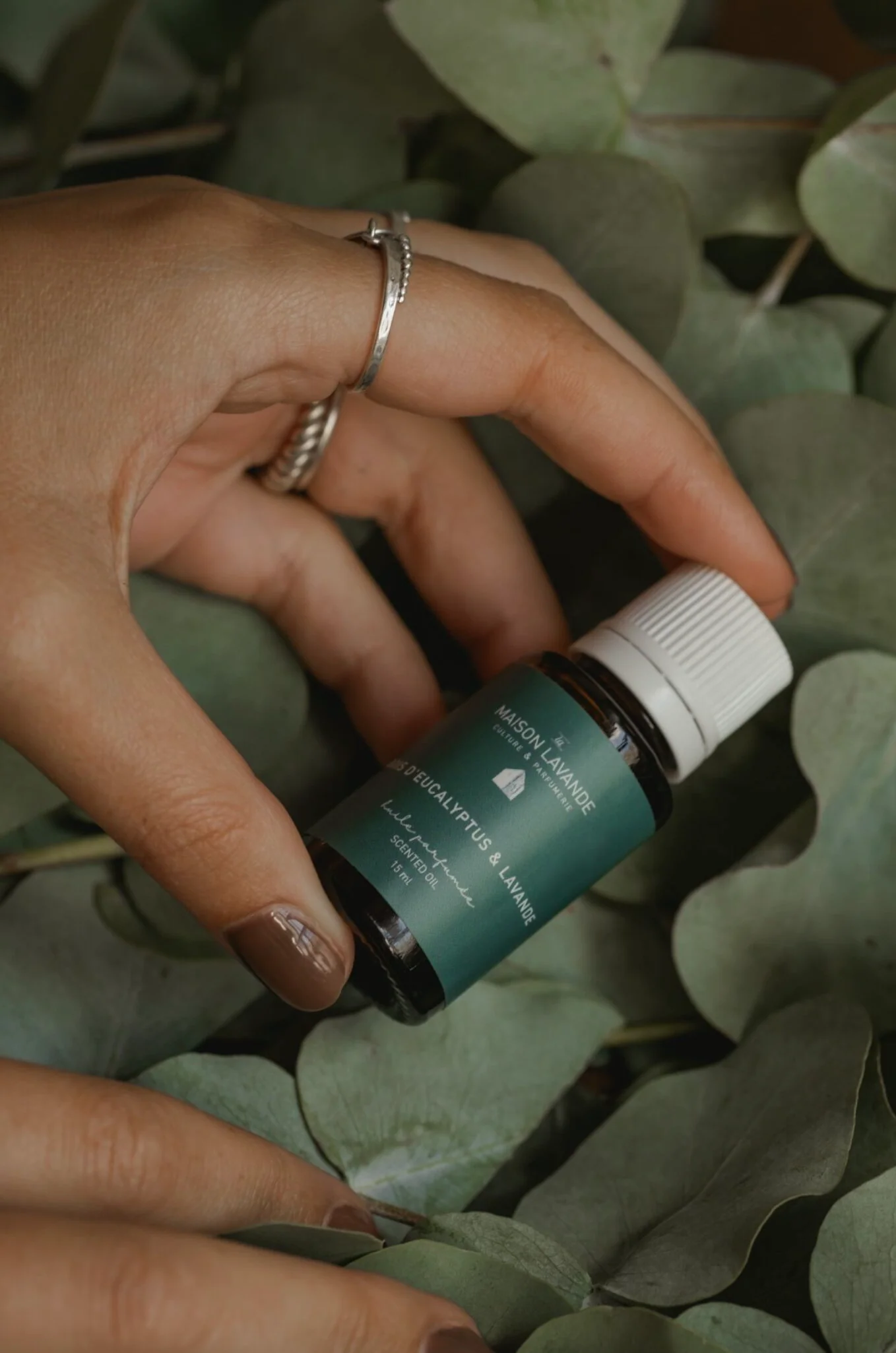 Huile parfumée - Bois d'eucalyptus & lavande - Image 3